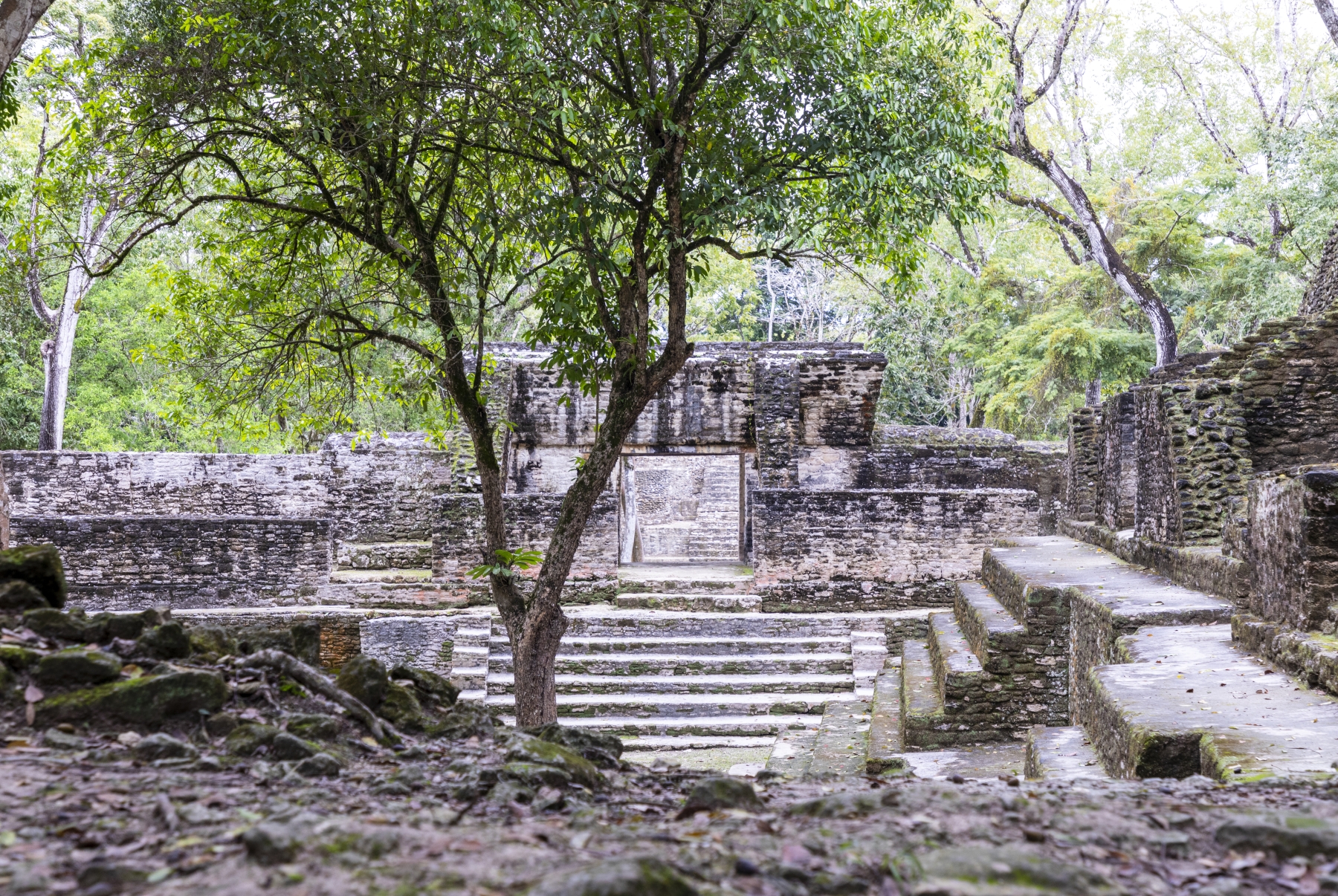 Cahal Pech Mayan Ruins, Cayo District, Belize 